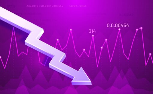 Почему власти Сербии ликвидируют почти 4000 частных компаний: подробности