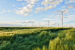 Подробнее о статье Сербия получает от ветра только 3% электроэнергии